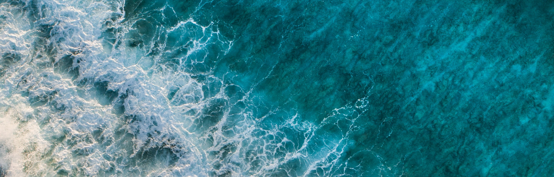 banner image